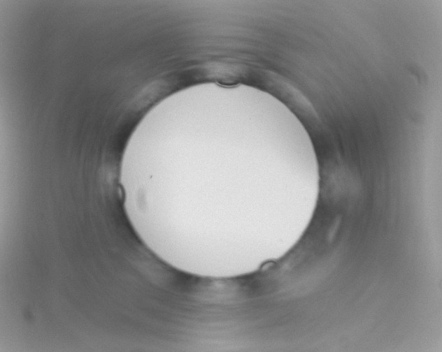 X0000115420329200911241353