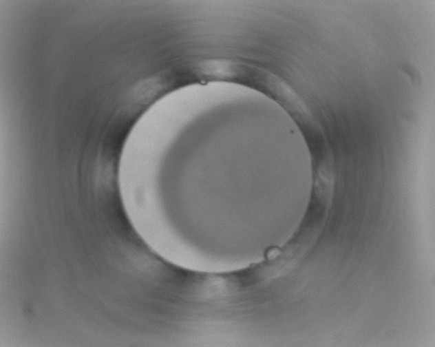 X0000115420330200911241353