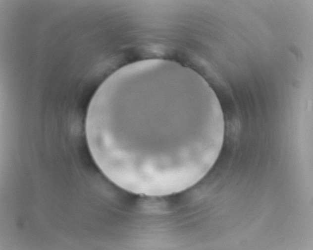 X0000115420331200911241353