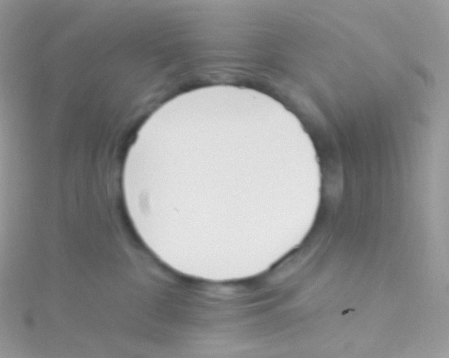 X0000115420332200911241353