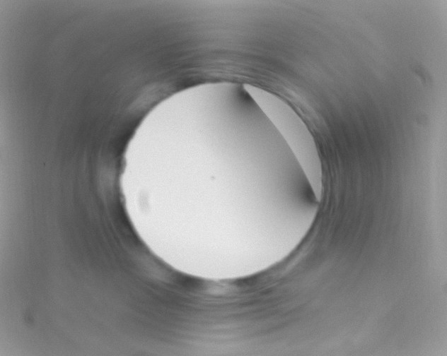 X0000115420333200911241353