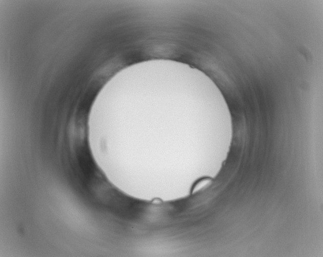 X0000115420334200911241353