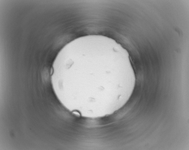 X0000115420335200911241353