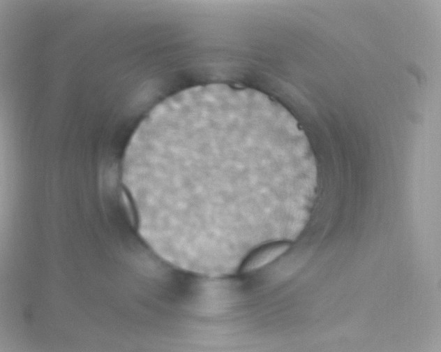 X0000115420336200911241353