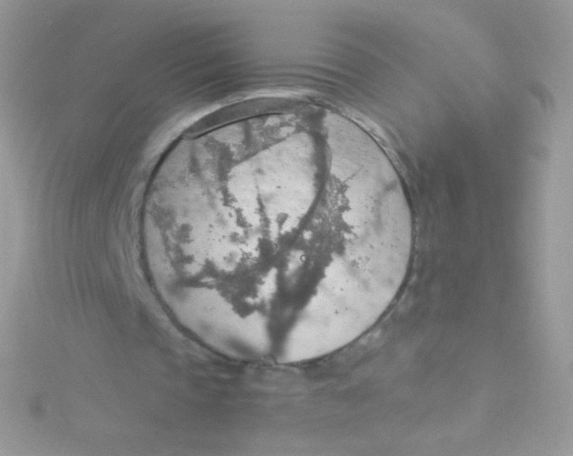 X0000115420337200911241352