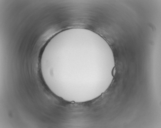 X0000115420338200911241352