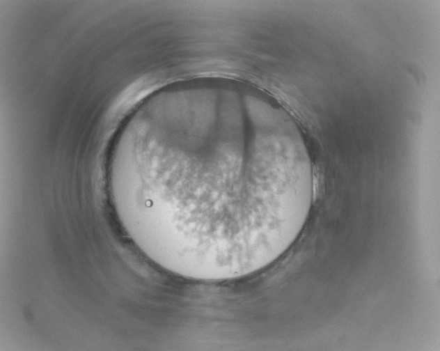 X0000115420339200911241352