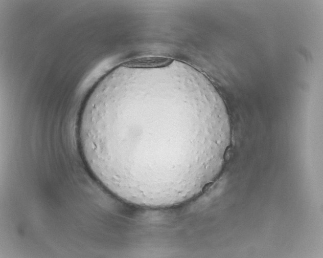 X0000115420341200911241352