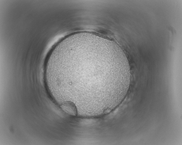 X0000115420342200911241352