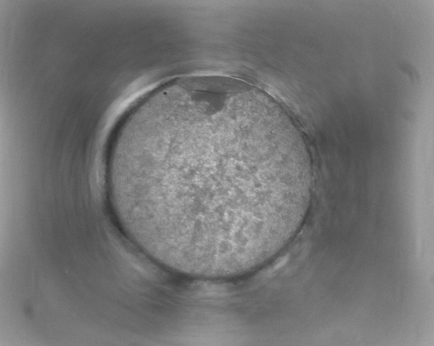 X0000115420343200911241353