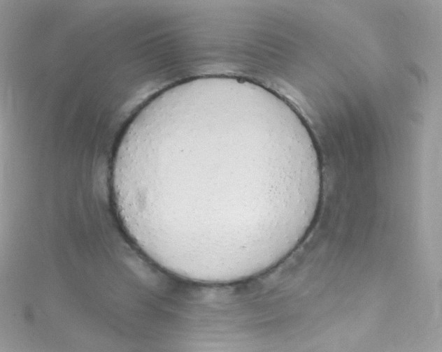 X0000115420345200911241353