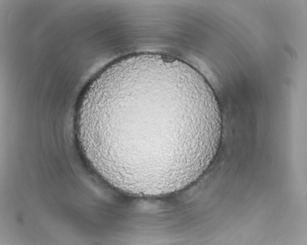 X0000115420346200911241353