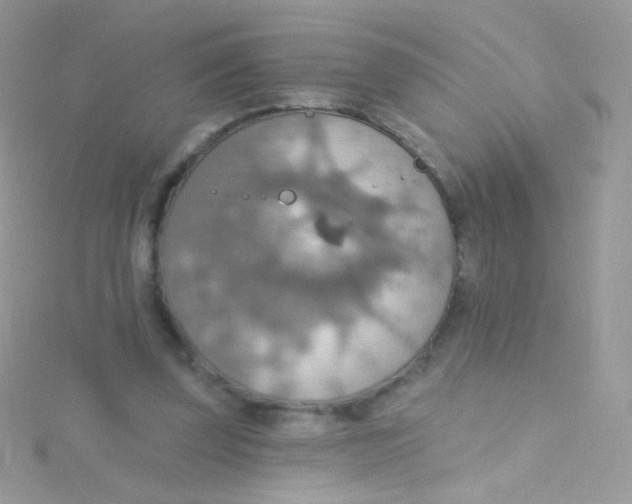 X0000115420347200911241353