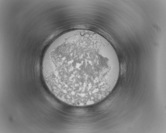 X0000115420349200911241353