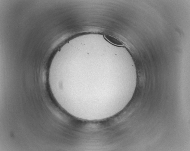 X0000115420350200911241353