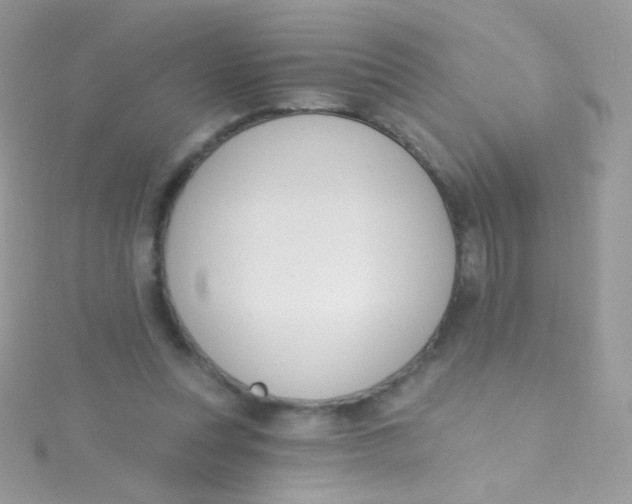 X0000115420351200911241353