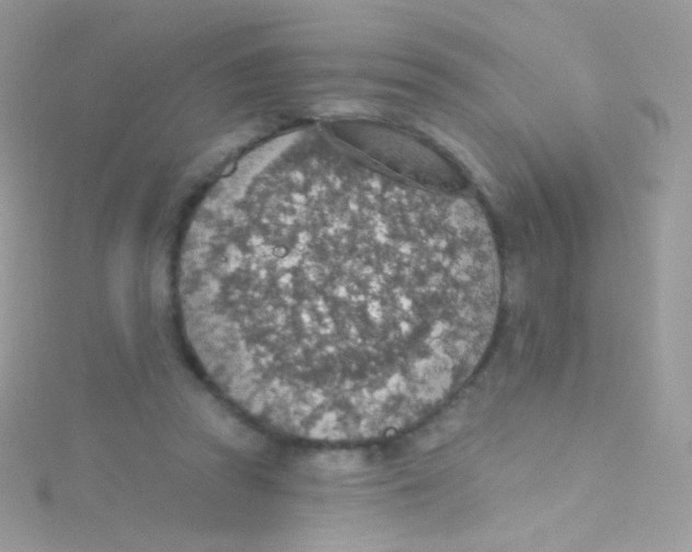 X0000115420353200911241353