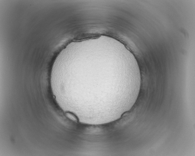 X0000115420354200911241353