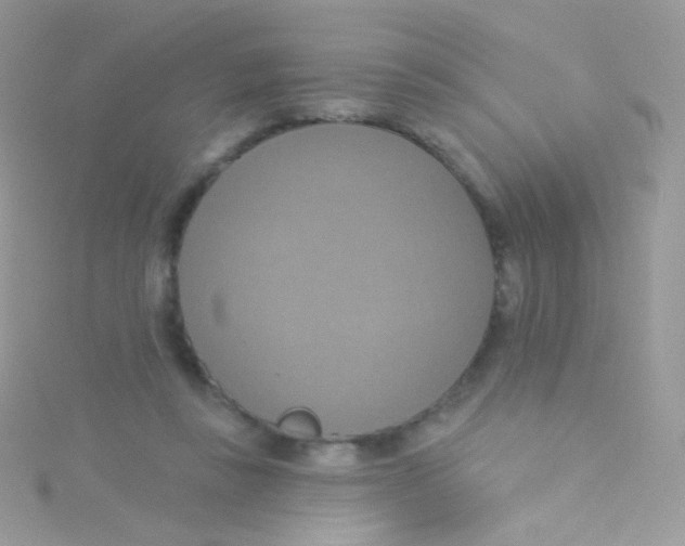 X0000115420355200911241353