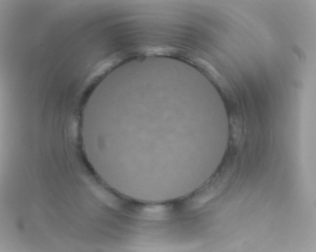 X0000115420357200911241353