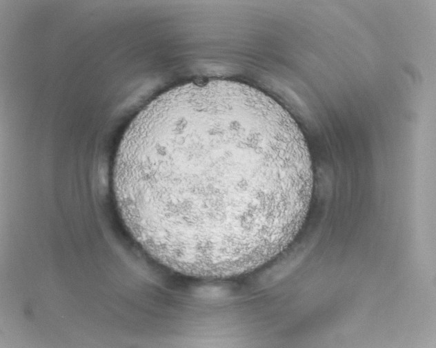 X0000115420358200911241353