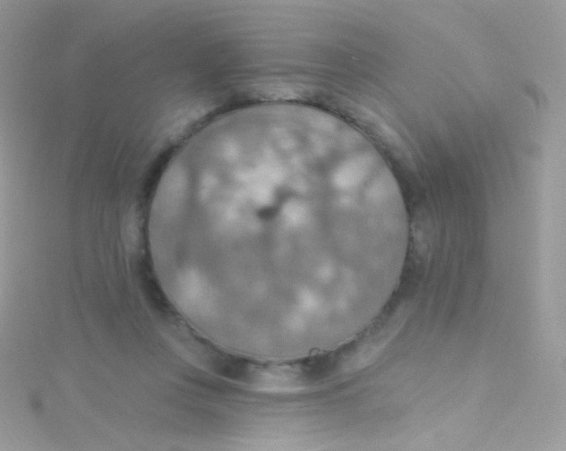 X0000115420359200911241353