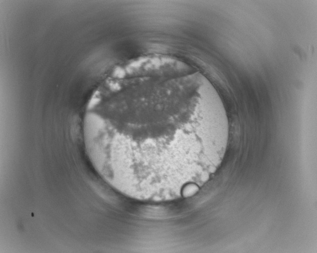 X0000115420361200911241353