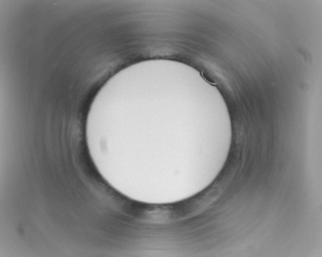 X0000115420362200911241353