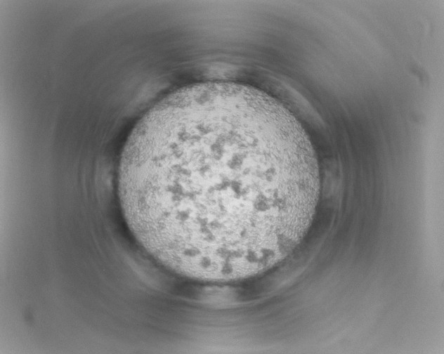 X0000115420363200911241353