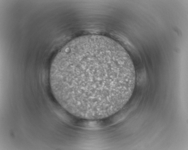 X0000115420365200911241353