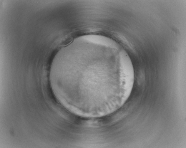 X0000115420366200911241353