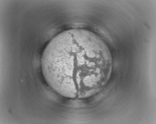 X0000115420367200911241353