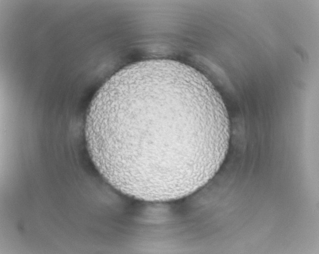 X0000115420369200911241353