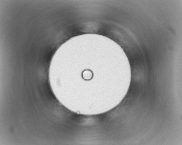 X0000115420370200911241353