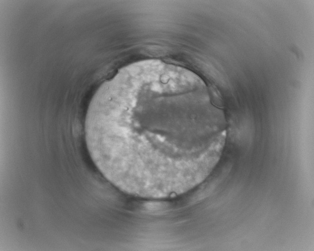 X0000115420371200911241353