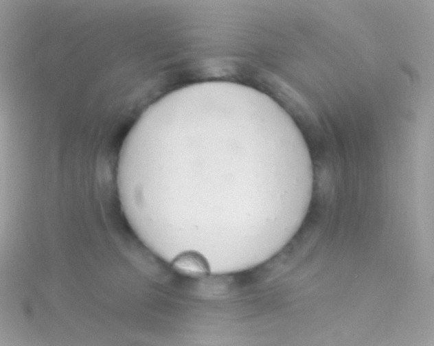 X0000115420373200911241353