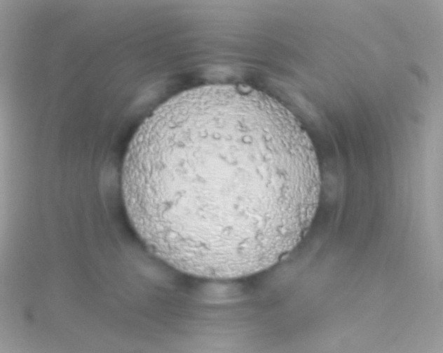 X0000115420375200911241353