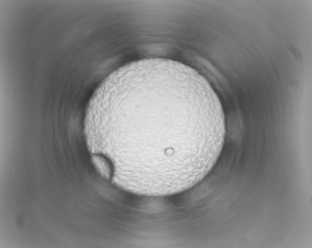 X0000115420377200911241353