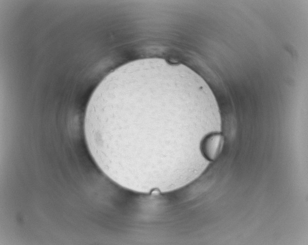 X0000115420378200911241353