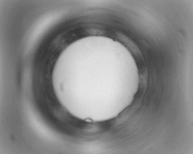 X0000115420381200911241353