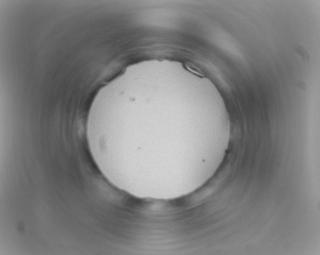 X0000115420382200911241353