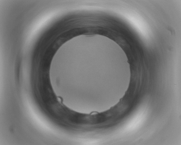 X0000115420383200911241353