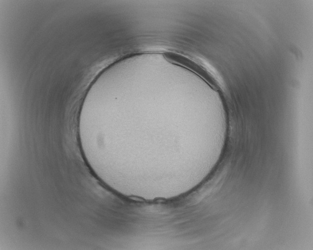 X0000115420385200911241352