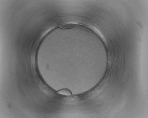 X0000115420386200911241352