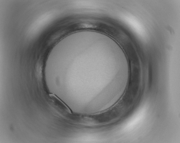 X0000115420387200911241352