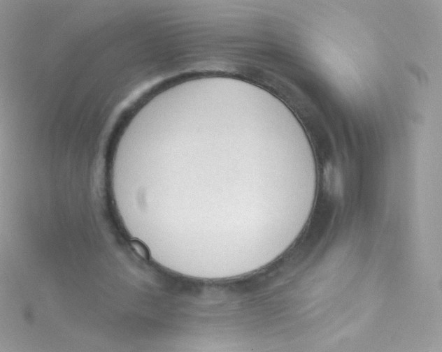 X0000115420388200911241352