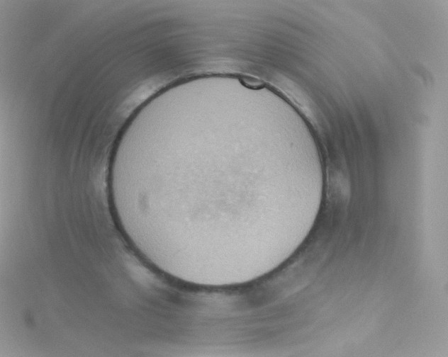 X0000115420389200911241352