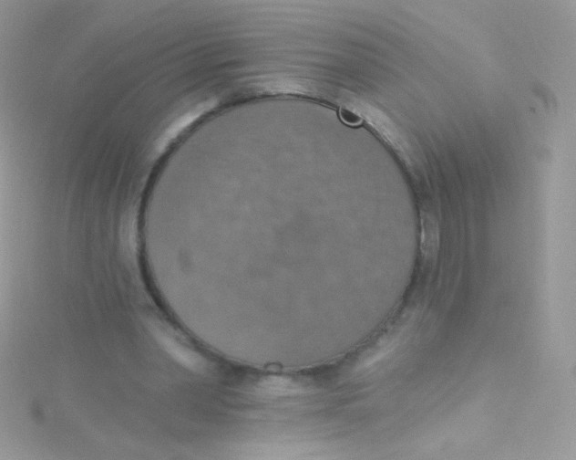 X0000115420390200911241352