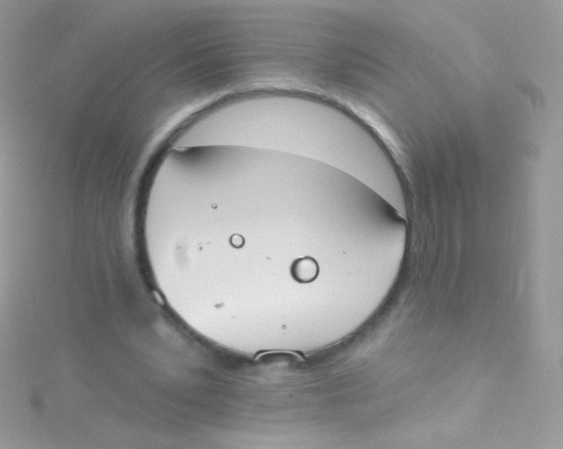 X0000115420391200911241352