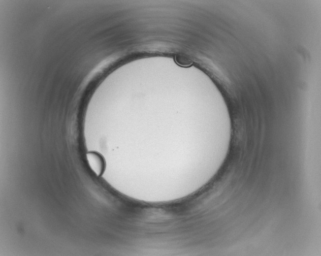 X0000115420392200911241352